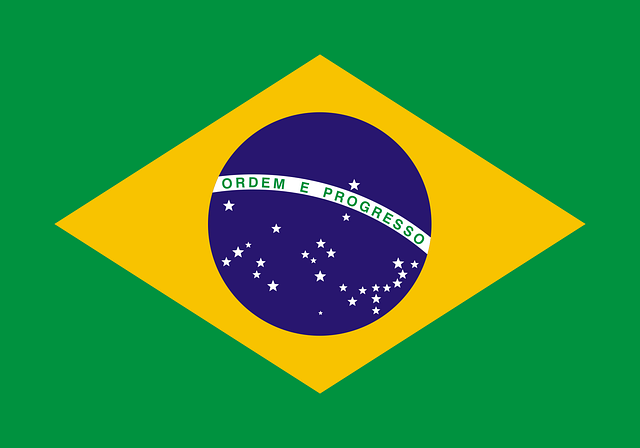 Birmingham to São Paulo — Clarifying Sea Freight Delivery Scope Before Booking
