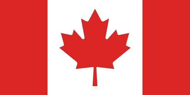 Birmingham to Toronto — Checking Wood Packaging Before Export