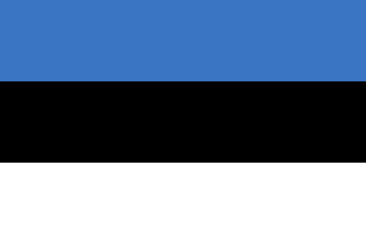 UK-to-Estonia Commercial Pallet Shipment