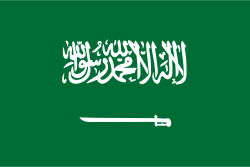 The flag of Saudi Arabia