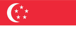 The flag of Singapore